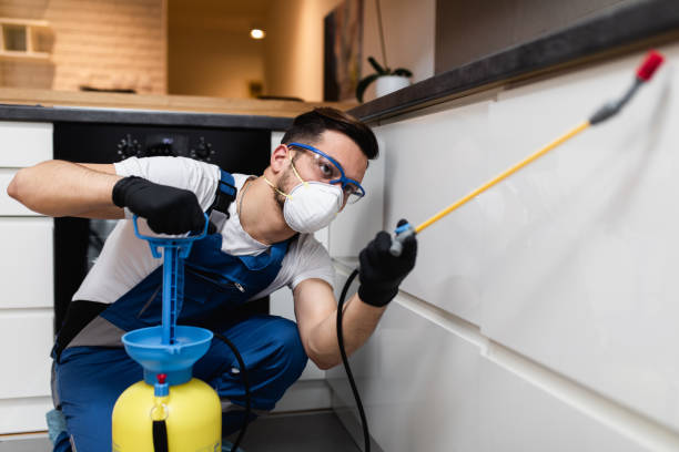 Best Pest Removal Services  in Montvale, NJ