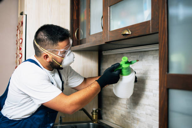 Best Termite Control Services  in Montvale, NJ