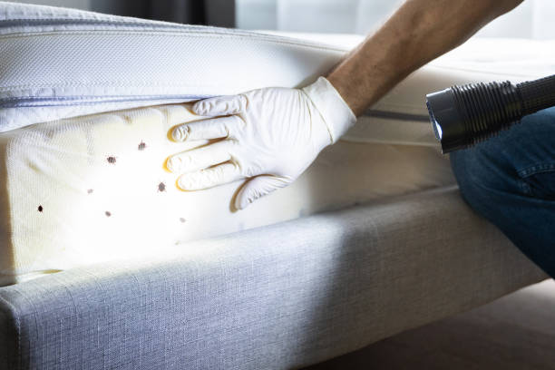  Montvale, NJ Pest Control Pros