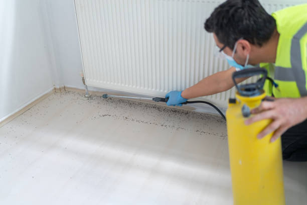 Reliable Montvale, NJ Pest Control Solutions
